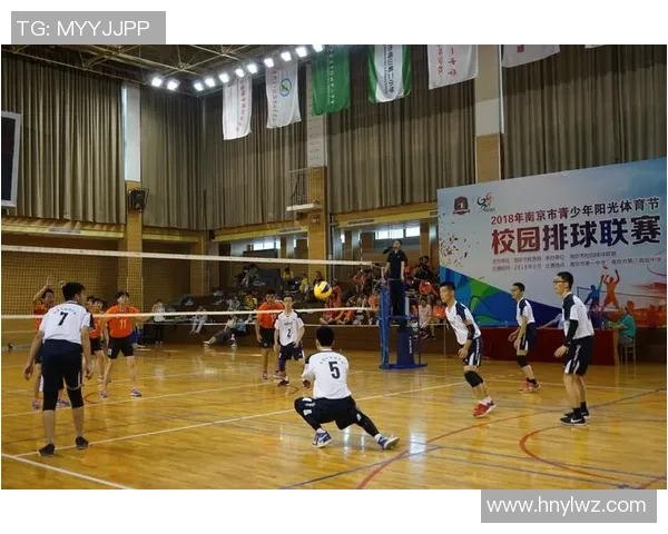 南京排球队运营策略深度分析与发展前景探讨